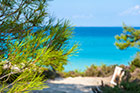 Chalkidiki. Na półwyspie Sithonia. - foto: wnieznane.pl Chalkidiki. Na półwyspie Sithonia. - foto: wnieznane.pl