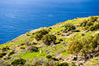 Malta. Spacer po klifach Dingli. - foto: wnieznane.pl Malta. Spacer po klifach Dingli. - foto: wnieznane.pl