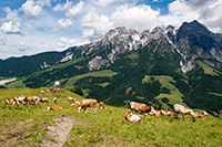 Alpy Austriackie. - foto: wnieznane.pl Alpy Austriackie. - foto: wnieznane.pl