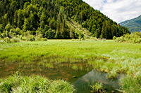 Alpy Austriackie. - foto: wnieznane.pl Alpy Austriackie. - foto: wnieznane.pl