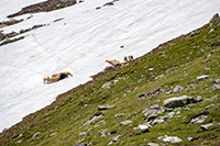 Alpy Austriackie. - foto: wnieznane.pl Alpy Austriackie. - foto: wnieznane.pl