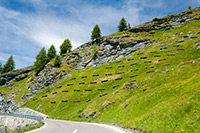 Alpy Austriackie. - foto: wnieznane.pl Alpy Austriackie. - foto: wnieznane.pl