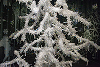 Alpy Austriackie. - foto: wnieznane.pl Alpy Austriackie. - foto: wnieznane.pl