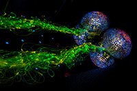 Alpy Austriackie. - foto: wnieznane.pl Alpy Austriackie. - foto: wnieznane.pl