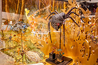 Alpy Austriackie. - foto: wnieznane.pl Alpy Austriackie. - foto: wnieznane.pl