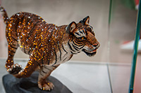 Alpy Austriackie. - foto: wnieznane.pl Alpy Austriackie. - foto: wnieznane.pl