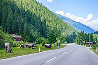 Alpy Austriackie. - foto: wnieznane.pl Alpy Austriackie. - foto: wnieznane.pl