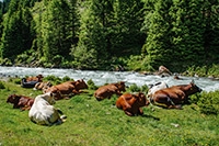 Alpy Austriackie. - foto: wnieznane.pl Alpy Austriackie. - foto: wnieznane.pl