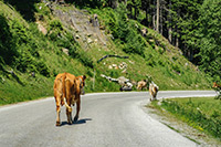 Alpy Austriackie. - foto: wnieznane.pl Alpy Austriackie. - foto: wnieznane.pl