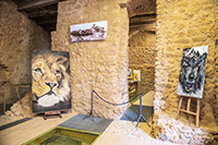 Kalabria. Zamek aragoński w miejscowości Le Castella. - foto: wnieznane.pl Kalabria. Zamek aragoński w miejscowości Le Castella. - foto: wnieznane.pl