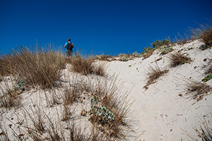 Kos. Piaszczysta plaża Mastichari na północnym wybrzeżu. - foto: wnieznane.pl Kos. Piaszczysta plaża Mastichari na północnym wybrzeżu. - foto: wnieznane.pl