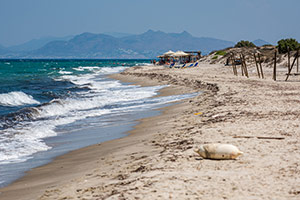 Kos. Plaża Marmari. - foto: wnieznane.pl Kos. Plaża Marmari. - foto: wnieznane.pl