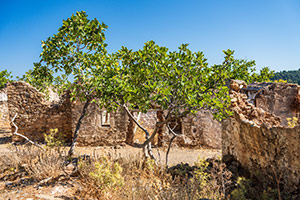 Kos. Opuszczona wioska Palio Pyli. - foto: wnieznane.pl Kos. Opuszczona wioska Palio Pyli. - foto: wnieznane.pl